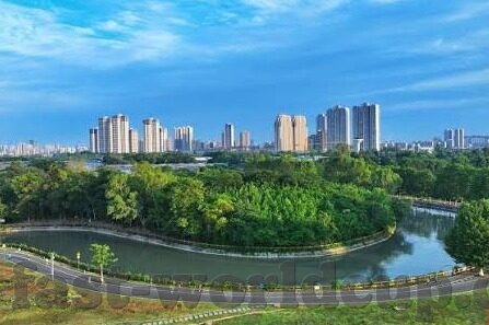 亚洲足球比分-亚洲足坛风云变幻，比分背后的激情与梦想